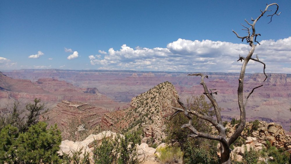 1928586089_GrandCanyon1(3).thumb.jpg.642780900f19f853dc4269a22cf56b99.jpg