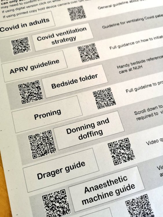 qr.jpg