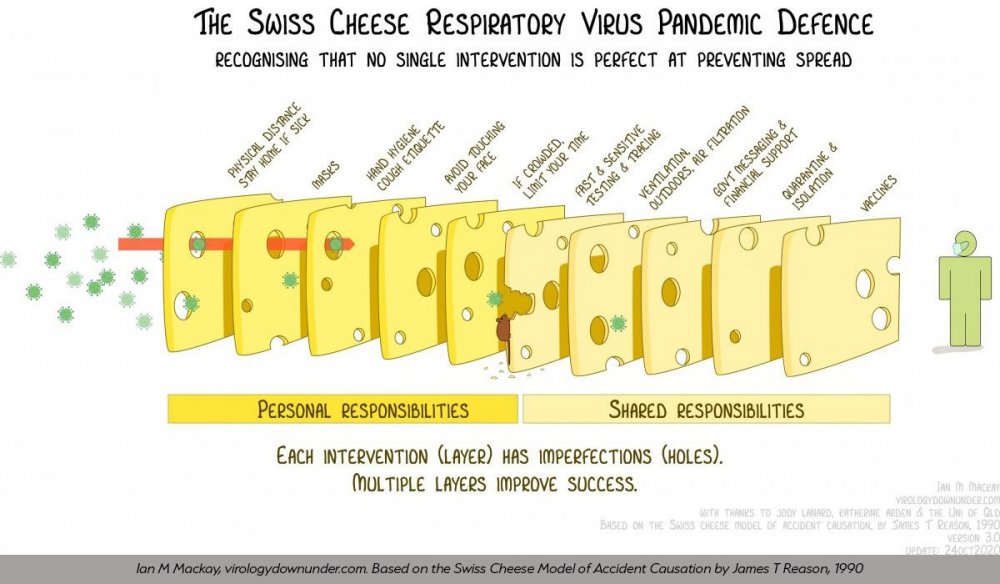 The-Swiss-Cheese-Respiratory-Virus-Pandemic-Defence---added-caption.thumb.jpg.ff8ad5136f6d90d853b5c123e30d28b2.jpg