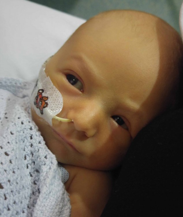 411069341_PoorlyKit(1).thumb.jpg.1fe0a676aff7b70a3afef681191005b7.jpg