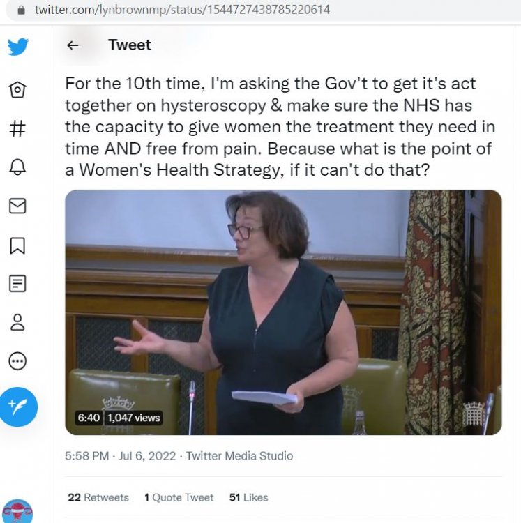 snip - Lyn Brown Westminster Hall 6 July 2022.JPG