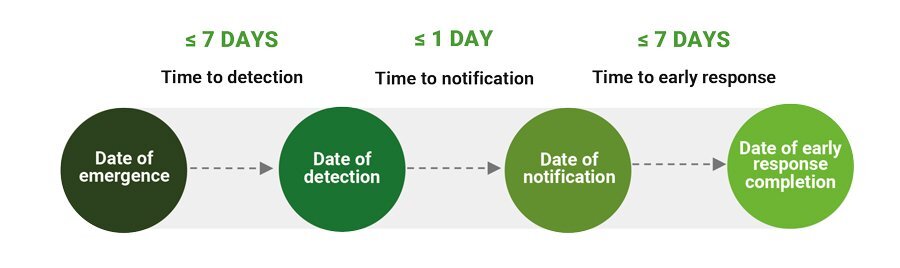 Infographic illustration the 7-1-7 guideline for early action reviews