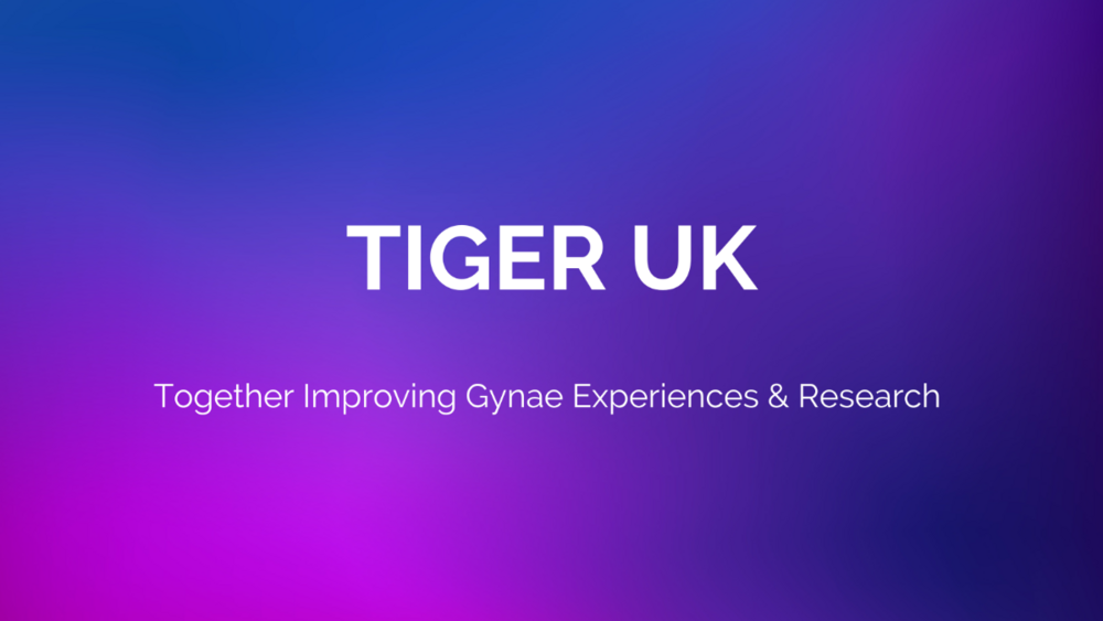 CopyofPurpleBlueModernGradientDesignStudioBusinessNameFacebookCover.thumb.png.c0de9fa7e451f658ca89a8bc2669200f.png