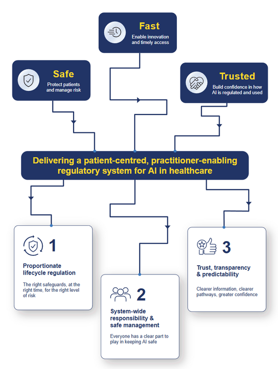 CommissionVisionInfographic.png